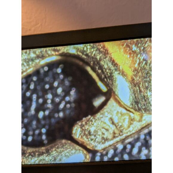 14Kt Yellow Gold Textured Double Link Chain Lobster Claw Clasp Bracelet - Picture 7 of 11